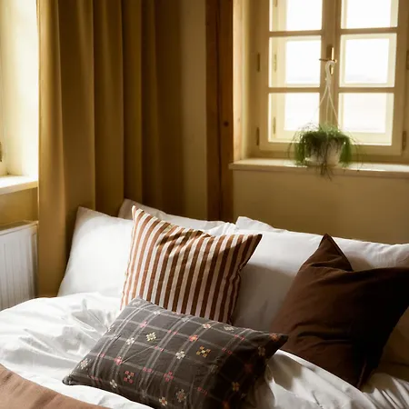 Apartment Nelis I Boutique In Old Town Prag