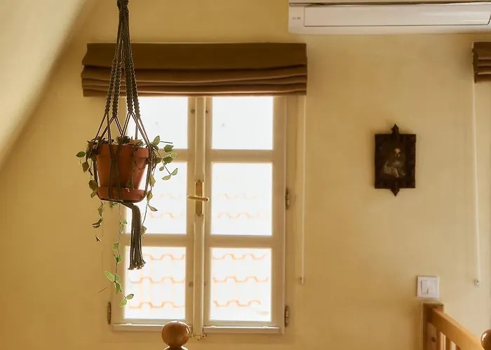 公寓 Nelis I Boutique In Old Town