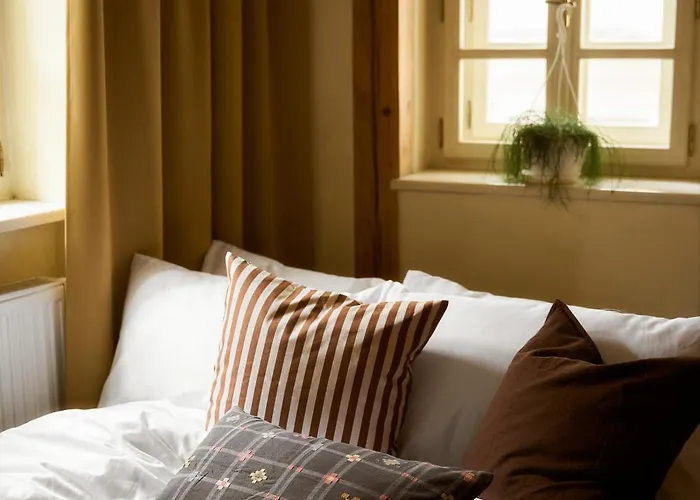 公寓 Nelis I Boutique In Old Town 布拉格